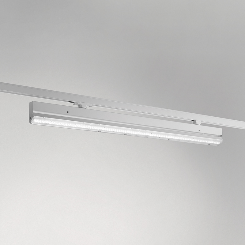 LINE track evolution adjustable image